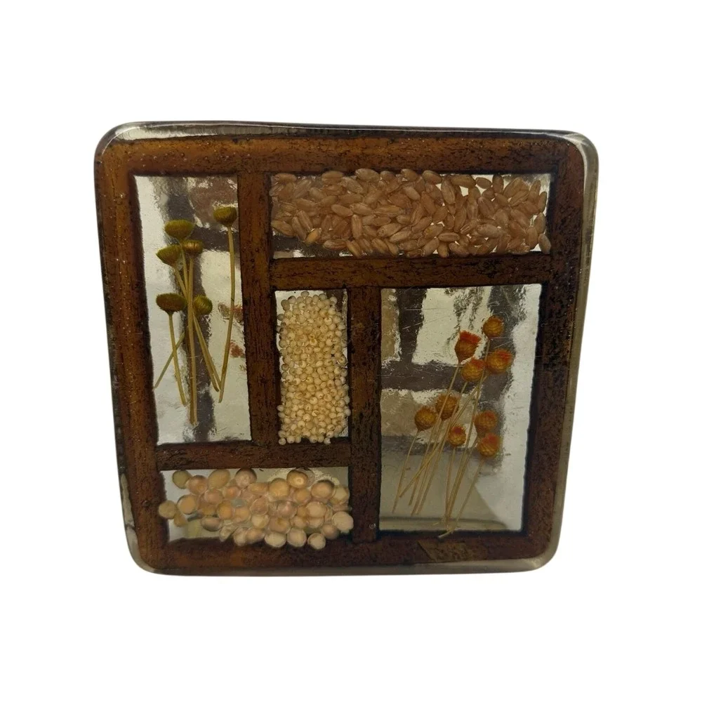Vtg Colorflo Retro Lucite Dried Flowers, Seeds & Grains Napkin Holder 1970's MCM